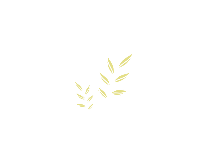 Connie's Custom Cleaning